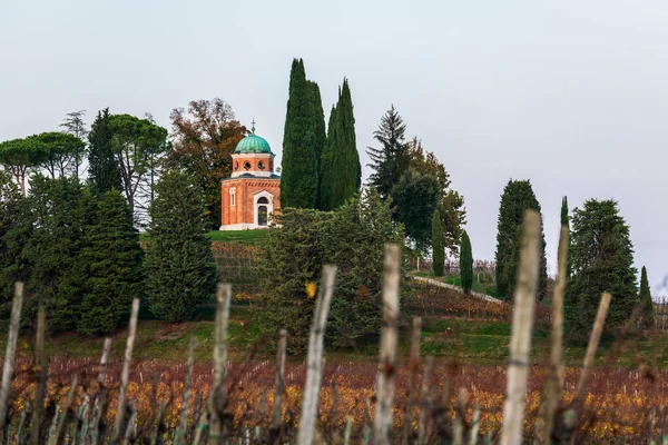 Italienische Landschaft Ländliche Landschaft Weinberg Colline Spessa Anpflanzung Von Weinreben — Stockfoto