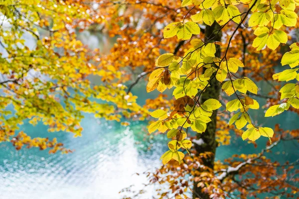 Krásný Výhled Přírodu Fusine Lake Itálie — Stock fotografie