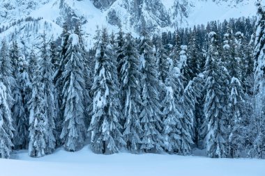 Soğuk ve karlı kış. Sappada Dolomitleri görünümü