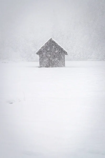 意大利利古里亚Camporosso冬季场景 — 图库照片