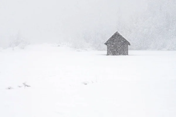 意大利利古里亚Camporosso冬季场景 — 图库照片