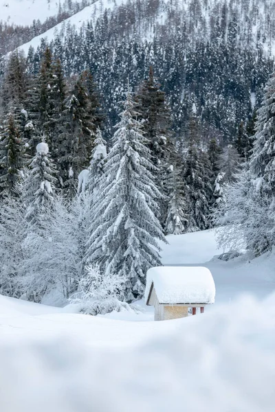 Studená Sněžná Zima Zobrazení Dolomit Sappada — Stock fotografie