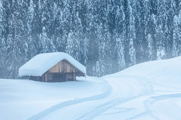 Studená Sněžná Zima Zobrazení Dolomit Sappada — Stock fotografie