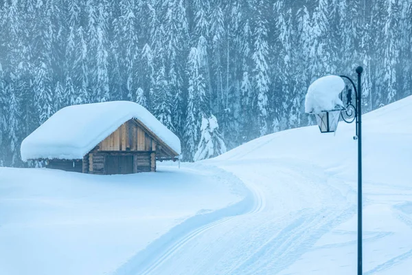 Studená Sněžná Zima Zobrazení Dolomit Sappada — Stock fotografie