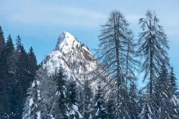 寒冷多雪的冬天 Sappada Dolomites视图 — 图库照片