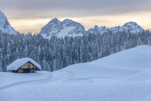 Kalte Und Schneereiche Winter Sappada Dolomiten Blick — Stockfoto