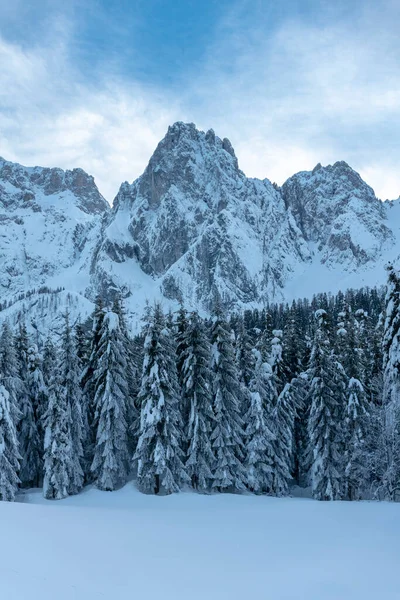 Cold Snowy Winter Sappada Dolomites View — Stock Photo, Image