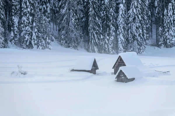 Escena Invierno Sappada Italia —  Fotos de Stock