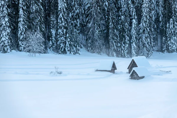 Winter Scene Sappada Italy — Stock Photo, Image