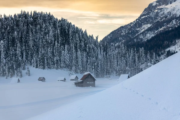 Vinterscen Sappada Italien — Stockfoto