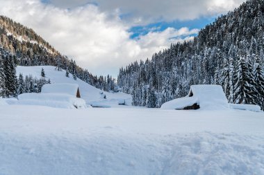Evle karlı ormanın gündüz çekimi. Kar ve soğuk.