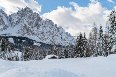 Evle karlı ormanın gündüz çekimi. Kar ve soğuk.