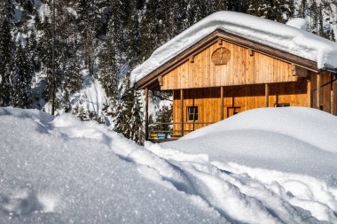 Evle karlı ormanın gündüz çekimi. Kar ve soğuk.