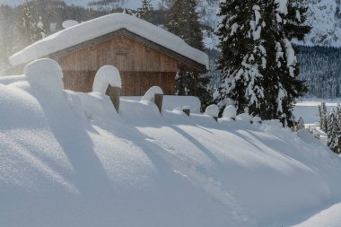 Evle karlı ormanın gündüz çekimi. Kar ve soğuk.