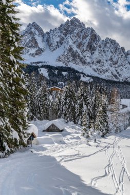 Evle karlı ormanın gündüz çekimi. Kar ve soğuk.