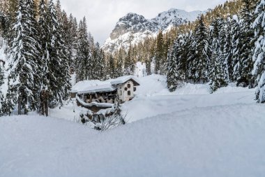 Evle karlı ormanın gündüz çekimi. Kar ve soğuk.