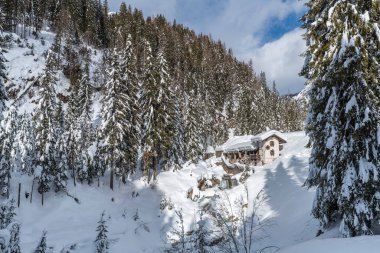 Evle karlı ormanın gündüz çekimi. Kar ve soğuk.