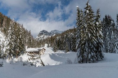 Evle karlı ormanın gündüz çekimi. Kar ve soğuk.