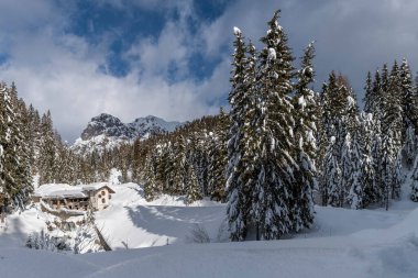 Evle karlı ormanın gündüz çekimi. Kar ve soğuk.