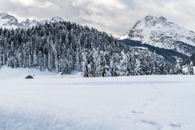 Evle karlı ormanın gündüz çekimi. Kar ve soğuk.