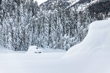 Evle karlı ormanın gündüz çekimi. Kar ve soğuk.