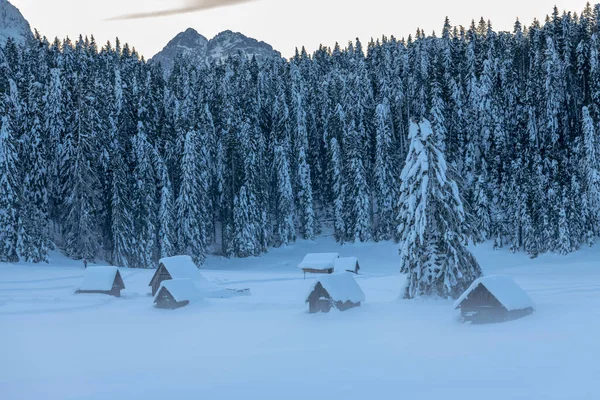 Winter Scene Sappada Italy — Stock Photo, Image