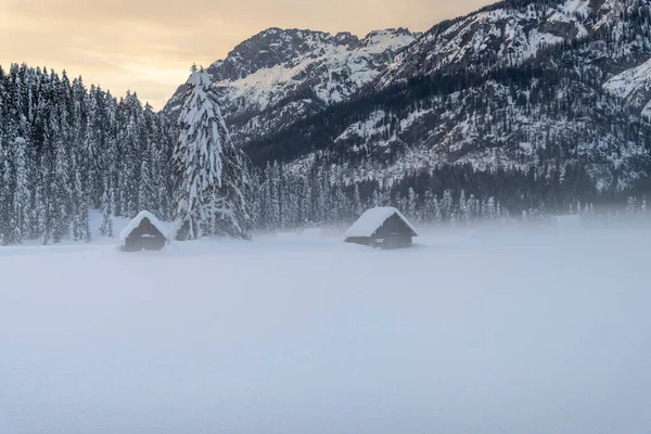 Cold Snowy Winter Sappada Dolomites View — Stock Photo, Image