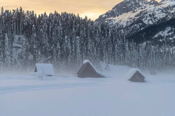 Kall Och Snöig Vinter Utsikt Över Sappada Dolomiterna — Stockfoto