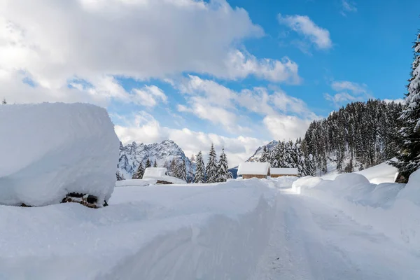 白天拍摄的雪地森林与房子 冰天雪地 — 图库照片