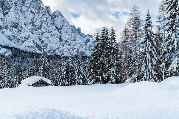 Disparo Día Bosque Nevado Con Casa Nieve Frío — Foto de Stock