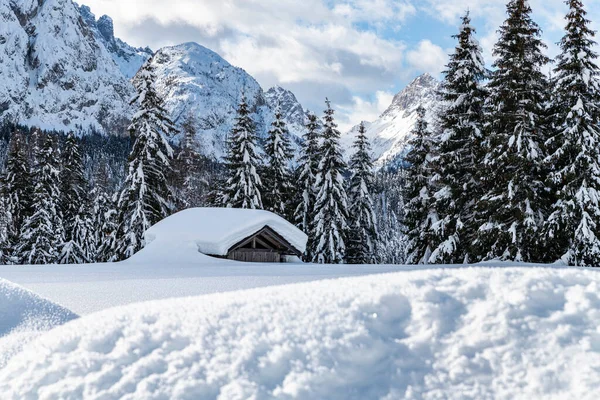 Vue Jour Forêt Enneigée Avec Maison Neige Froid — Photo