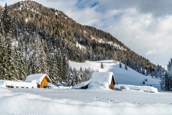 Tagesaufnahme Des Verschneiten Waldes Mit Haus Schnee Und Kälte — Stockfoto