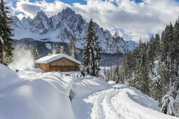 家と雪の森の日の時間のショット 雪と寒さ — ストック写真