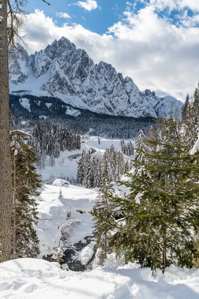 Tagesaufnahme Des Verschneiten Waldes Mit Haus Schnee Und Kälte — Stockfoto