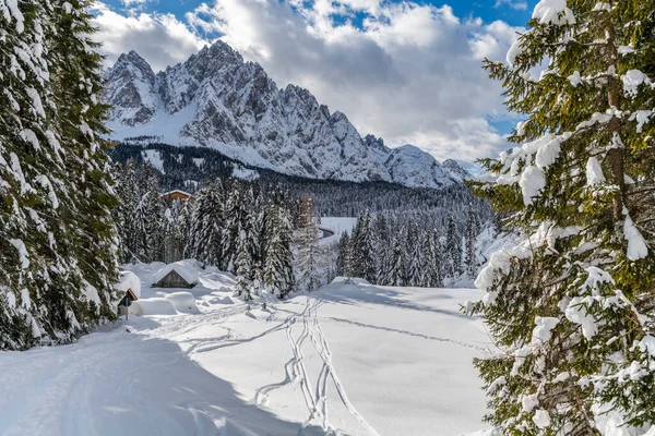 Disparo Día Bosque Nevado Con Casa Nieve Frío — Foto de Stock