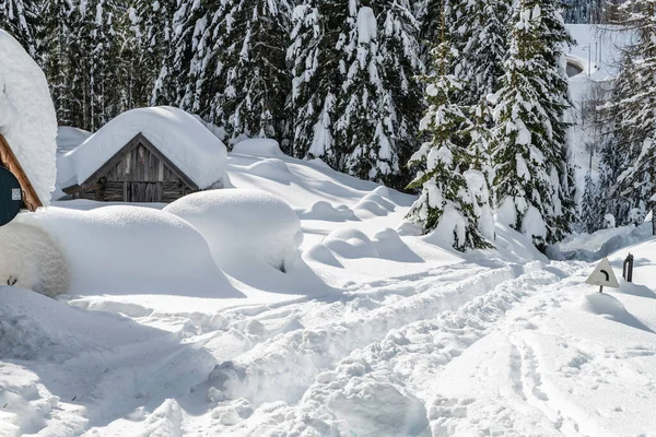 Denní Záběr Zasněženého Lesa Domem Sníh Zima — Stock fotografie