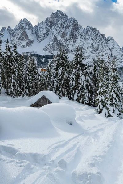 Disparo Día Bosque Nevado Con Casa Nieve Frío — Foto de Stock