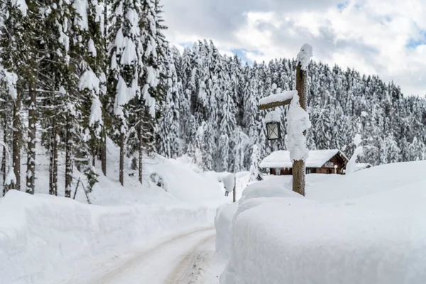 Denní Záběr Zasněženého Lesa Domem Sníh Zima — Stock fotografie