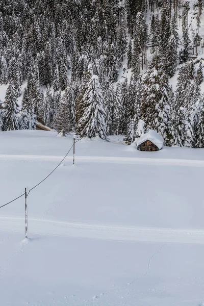 Tagesaufnahme Des Verschneiten Waldes Mit Haus Schnee Und Kälte — Stockfoto