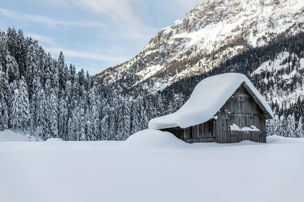 Дневной Снимок Заснеженного Леса Домом Снег Холод — стоковое фото