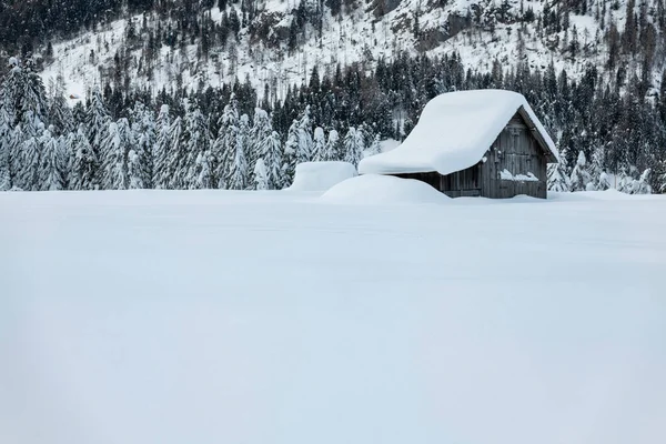 Dag Schot Van Besneeuwd Bos Met Huis Sneeuw Kou — Stockfoto