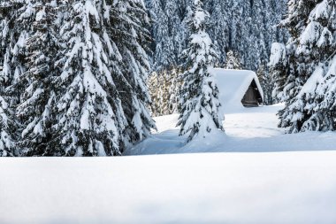 Evle karlı ormanın gündüz çekimi. Kar ve soğuk.