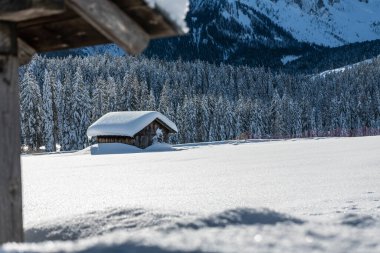 Evle karlı ormanın gündüz çekimi. Kar ve soğuk.