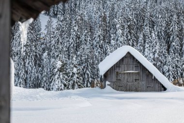 Evle karlı ormanın gündüz çekimi. Kar ve soğuk.
