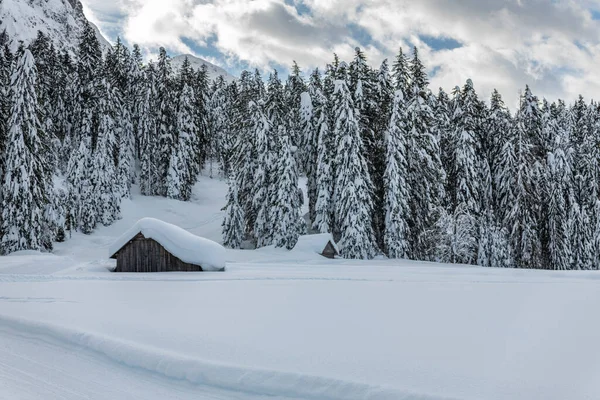 Colpo Giorno Foresta Nevosa Con Casa Neve Freddo — Foto Stock