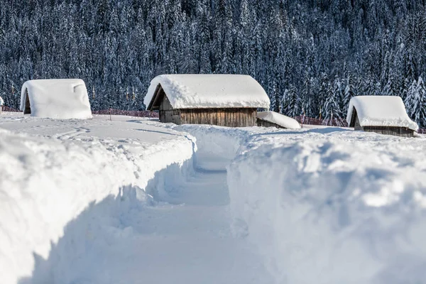 Vue Jour Forêt Enneigée Avec Maison Neige Froid — Photo