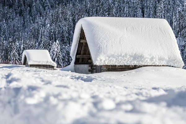 Vue Jour Forêt Enneigée Avec Maison Neige Froid — Photo