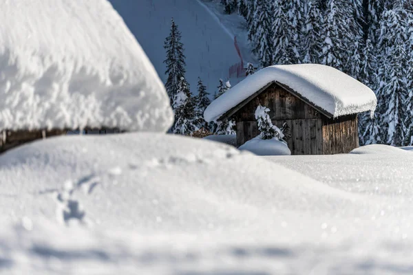 Colpo Giorno Foresta Nevosa Con Casa Neve Freddo — Foto Stock