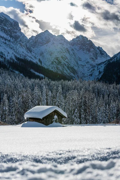 Day Time Shot Snowy Forest House Snow Cold — Stock Photo, Image