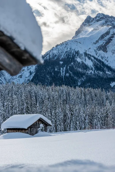 Day Time Shot Snowy Forest House Snow Cold — Stock Photo, Image